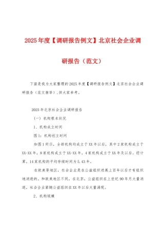 2025年度北京社会企业调研报告