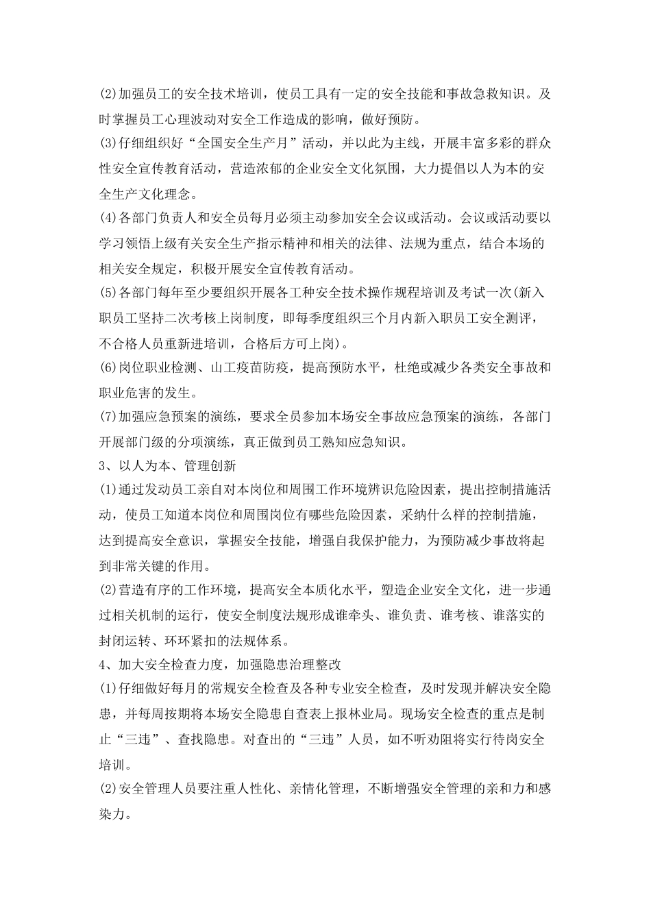 2025年度安全生产工作计划报告_第2页