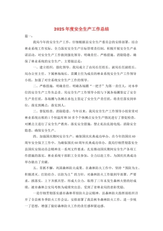 2025年度安全生产工作总结