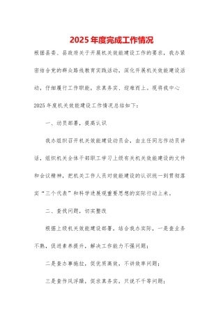 2025年度完成工作情况