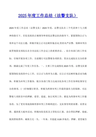 2025年度工作总结(法警支队)