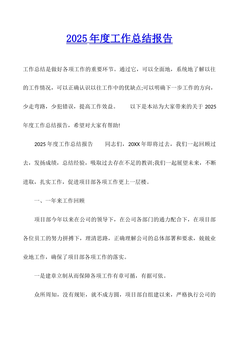 2025年度工作总结报告_第1页