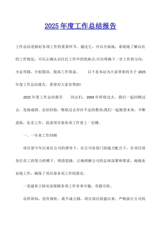 2025年度工作总结报告