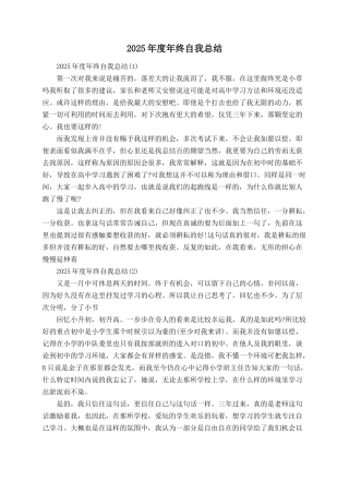 2025年度年终自我总结