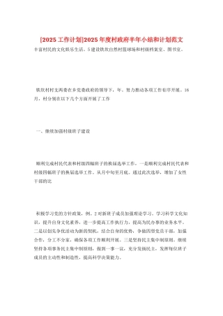 2025年度村政府半年小结和计划范文