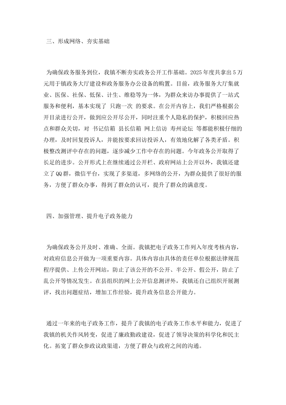 2025年度电子政务工作总结及2025年工作计划_第2页
