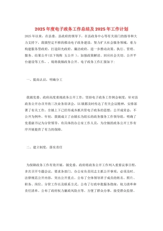 2025年度电子政务工作总结及2025年工作计划