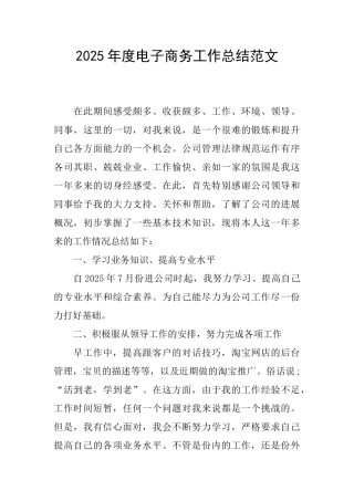 2025年度电子商务工作总结范文