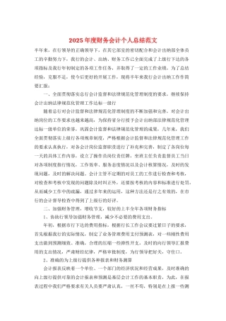 2025年度财务会计个人总结范文