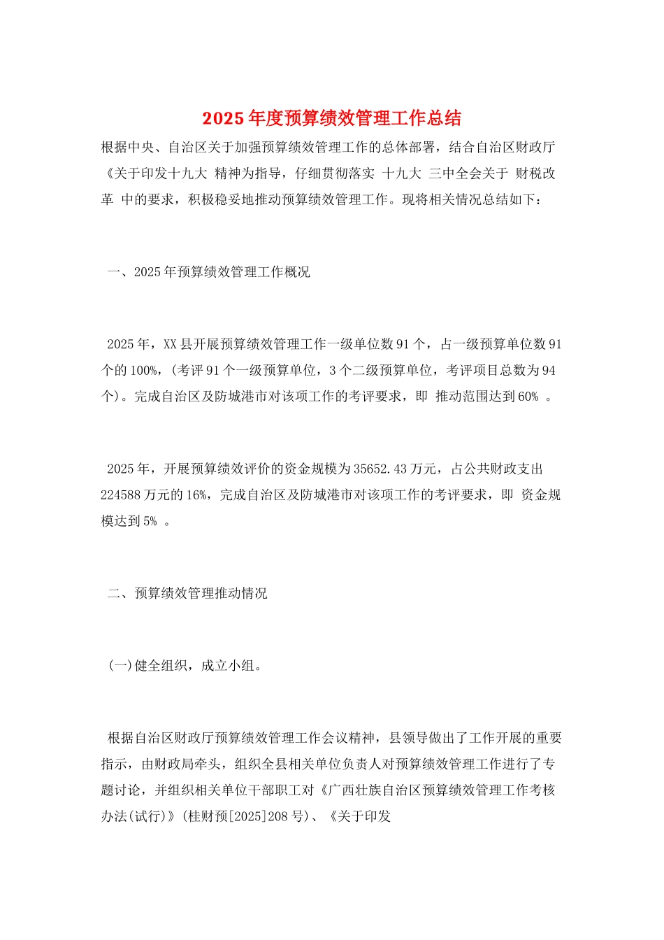 2025年度预算绩效管理工作总结_第1页