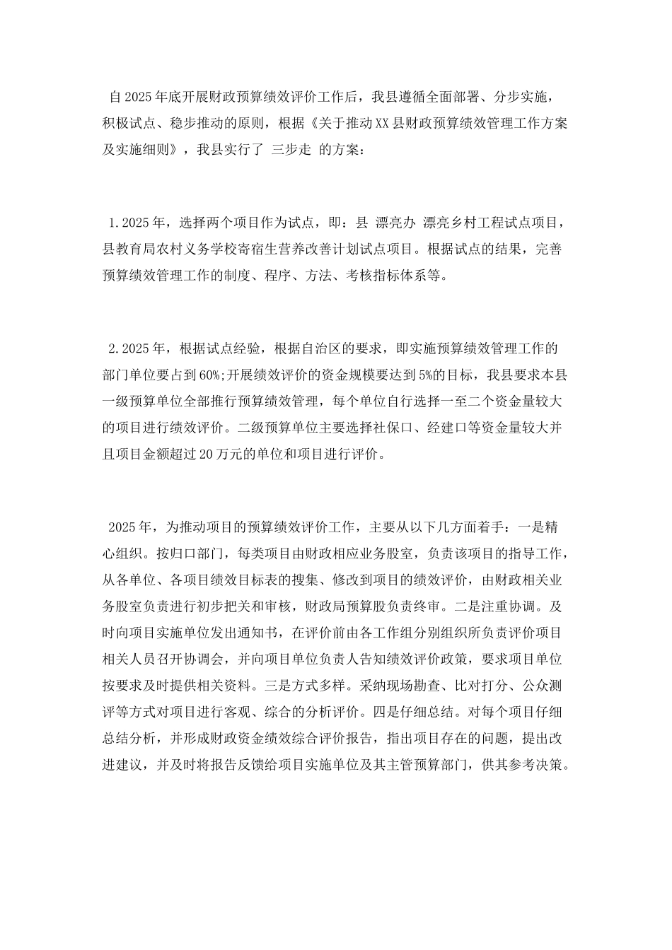 2025年度预算绩效管理工作总结_第3页