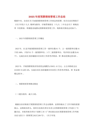 2025年度预算绩效管理工作总结