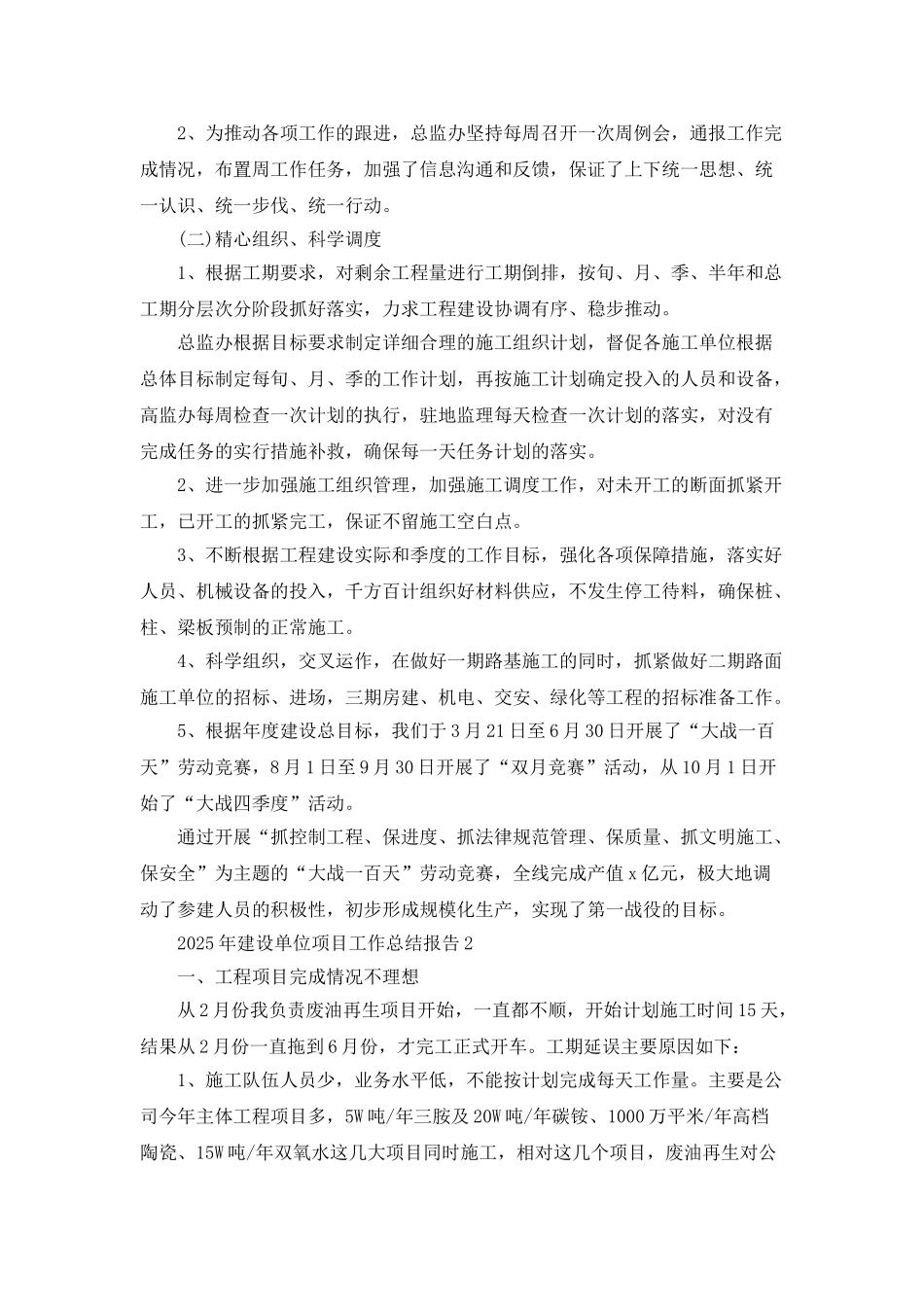 2025年建设单位项目工作总结报告_第2页