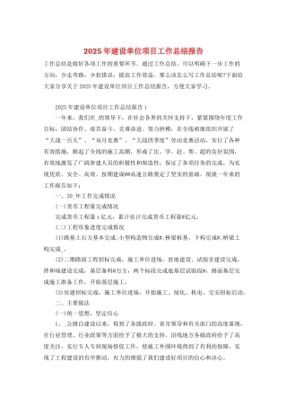 2025年建设单位项目工作总结报告