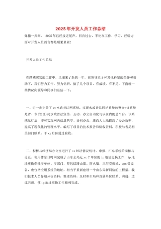 2025年开发人员工作总结