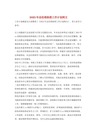 2025年总经理助理工作计划例文