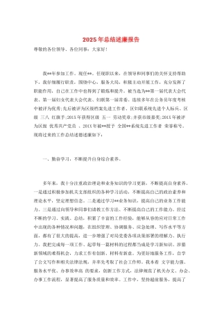 2025年总结述廉报告