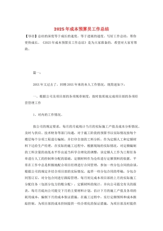 2025年成本预算员工作总结