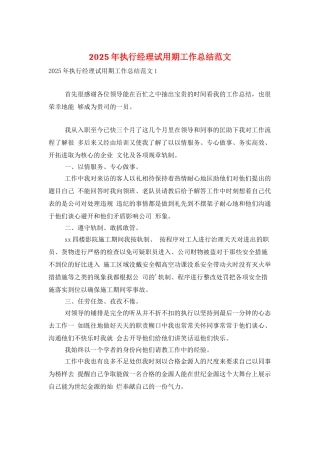 2025年执行经理试用期工作总结范文