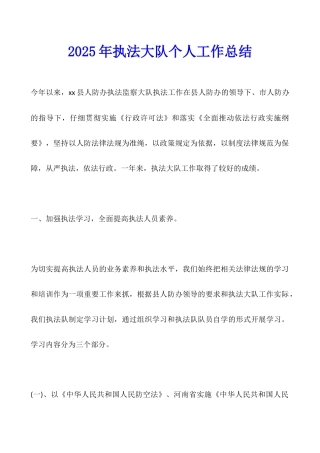 2025年执法大队个人工作总结