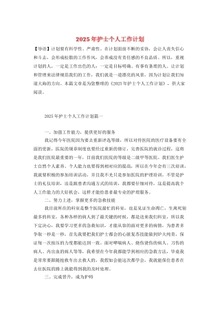 2025年护士个人工作计划