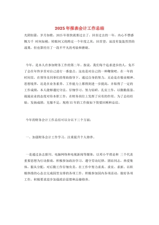 2025年报表会计工作总结
