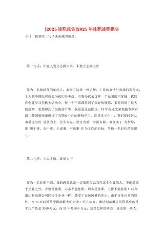 2025年挂职述职报告