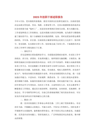 2025年挂职干部述职报告