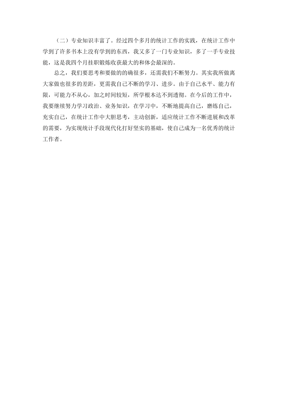 2025年挂职统计员实习报告_第3页