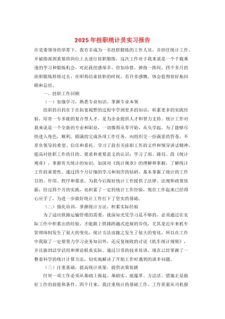 2025年挂职统计员实习报告