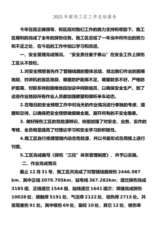 2025年探伤工区工作总结报告