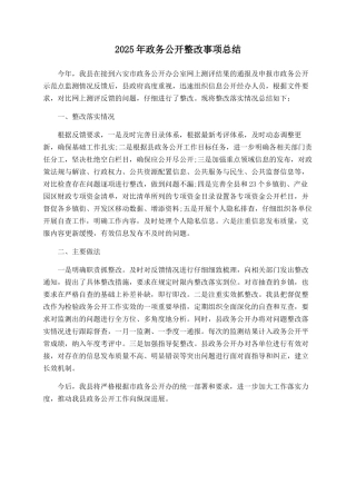 2025年政务公开整改事项总结