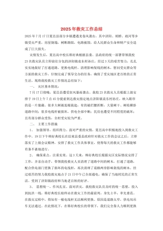 2025年救灾工作总结