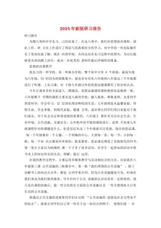 2025年新版研习报告