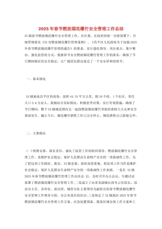 2025年春节燃放烟花爆竹安全管理工作总结