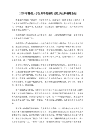 2025年暑假大学生骨干赴基层团组织挂职锻炼总结