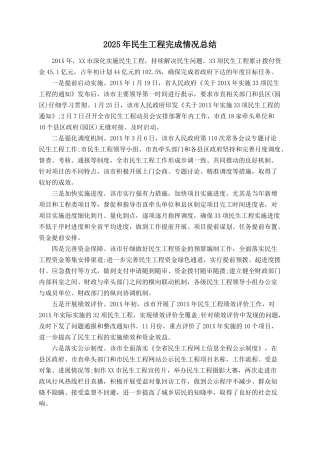 2025年民生工程完成情况总结