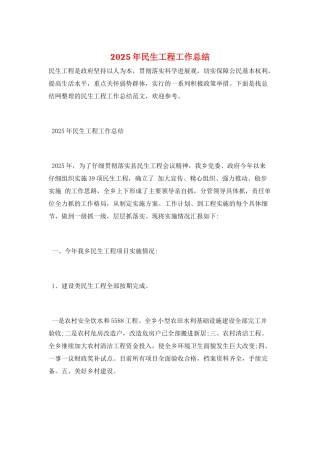 2025年民生工程工作总结