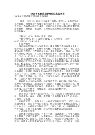 2025年水稻苗期管理应注意的事项
