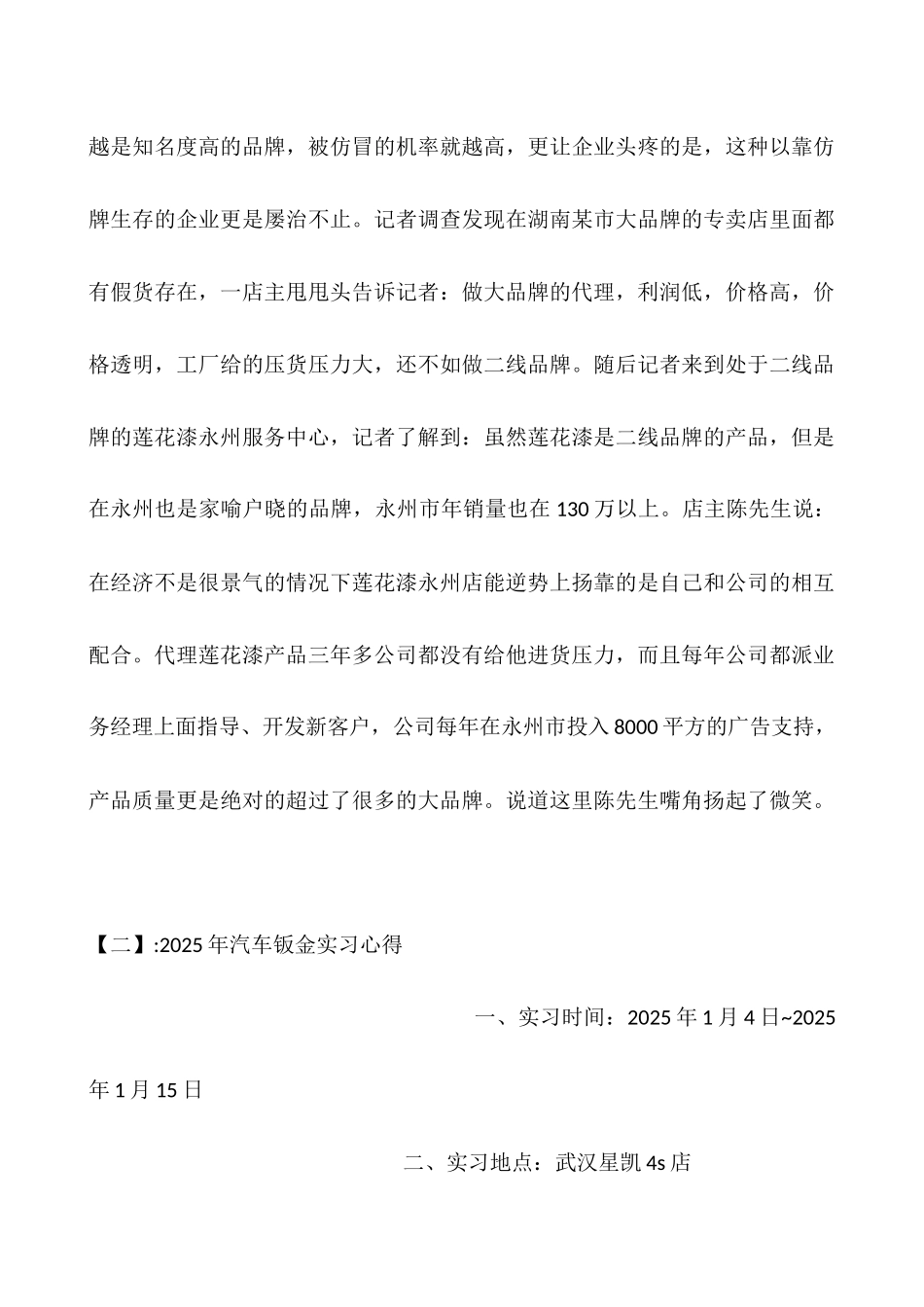 2025年汽车油漆年终总结_第3页