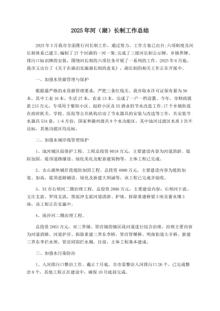 2025年河长制工作总结