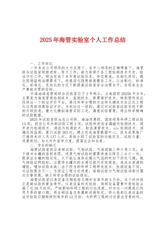 2025年海管实验室个人工作总结
