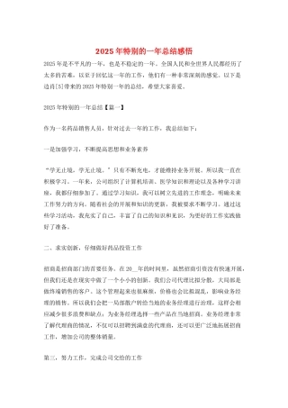 2025年特殊的一年总结感悟