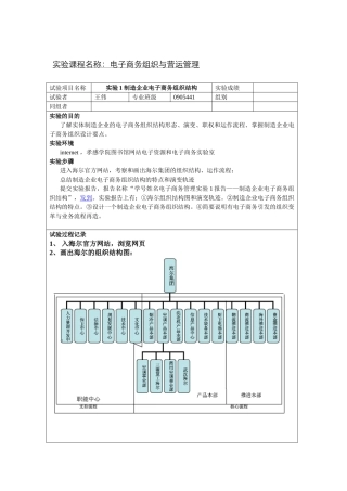 2025年王伟电子商务实验报告汇总