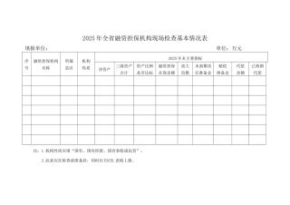 2025年现场检查基本情况表（正式版）