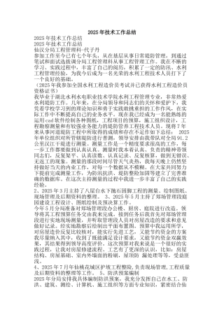 2025年技术工作总结-精品范文资料