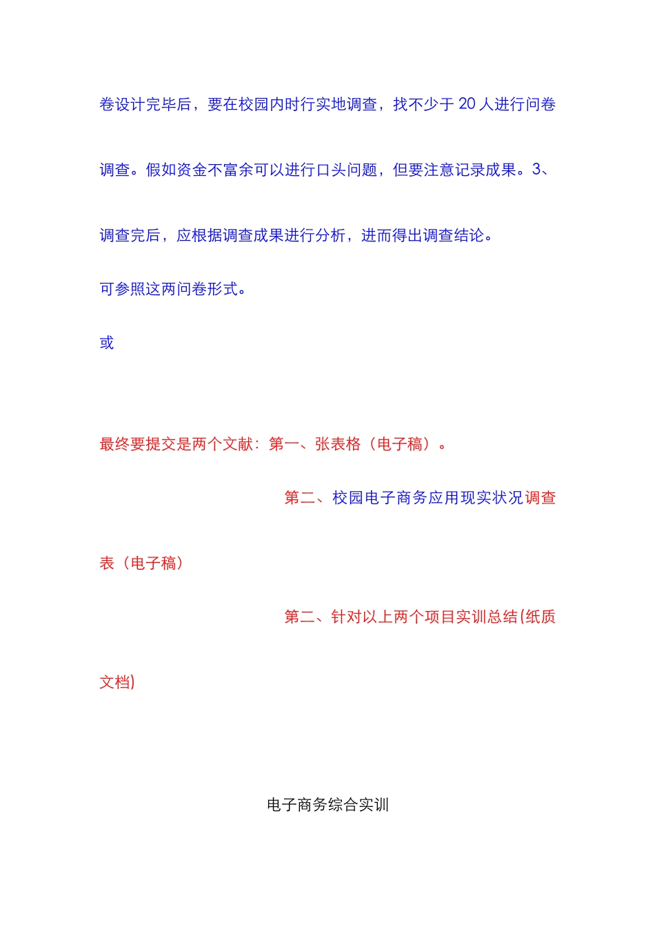 2025年电子商务综合实训_第2页