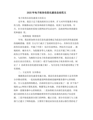 2025年电子政务信息化建设总结范文