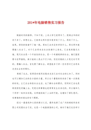 2025年电脑销售实习报告