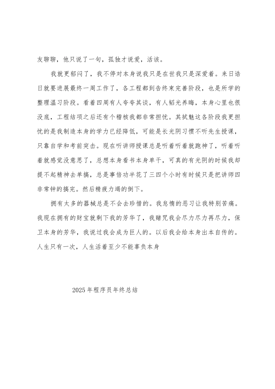 2025年程序员年终总结_第2页
